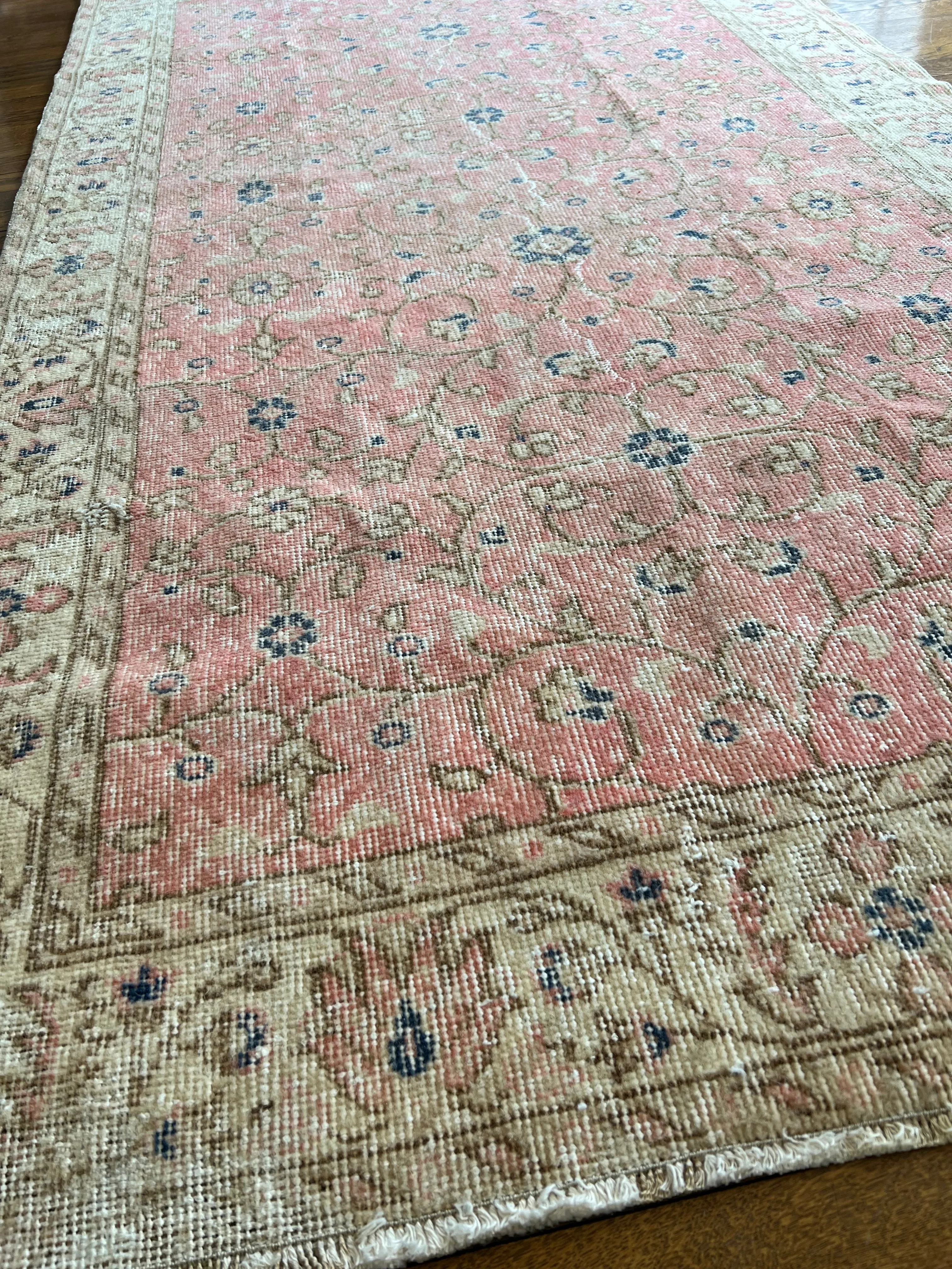 Posie