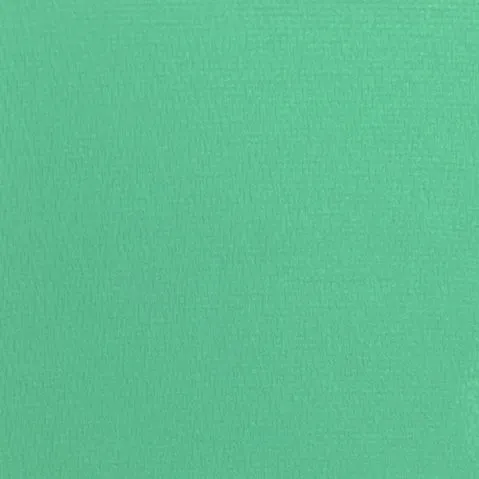 "AQUATIC" MATTE EYESHADOW