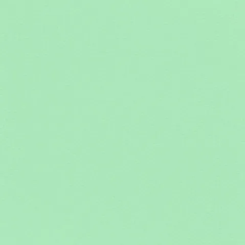 "GREEN TEA" MATTE EYESHADOW