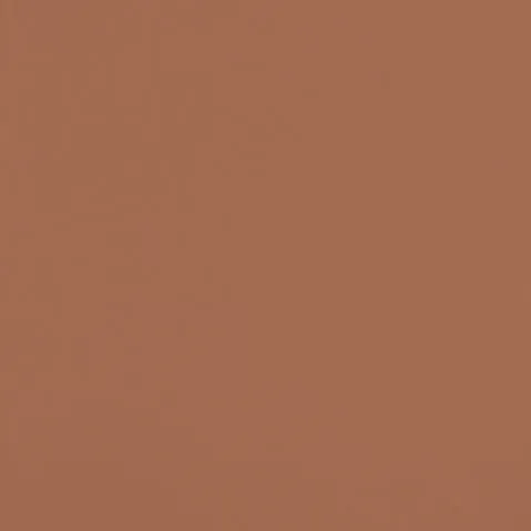 "NAUGHTY" MATTE EYESHADOW