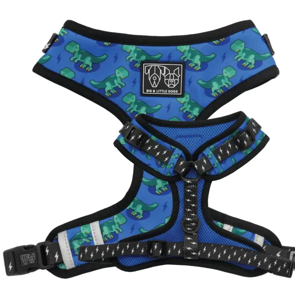 "Rawr" Adjustable Harness