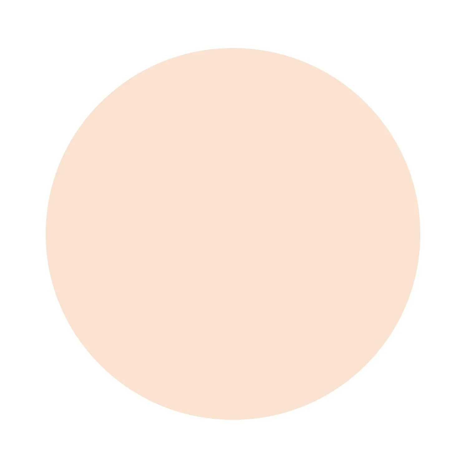 Revlon New Complexion One-Step Compact Makeup, Ivory Beige 01