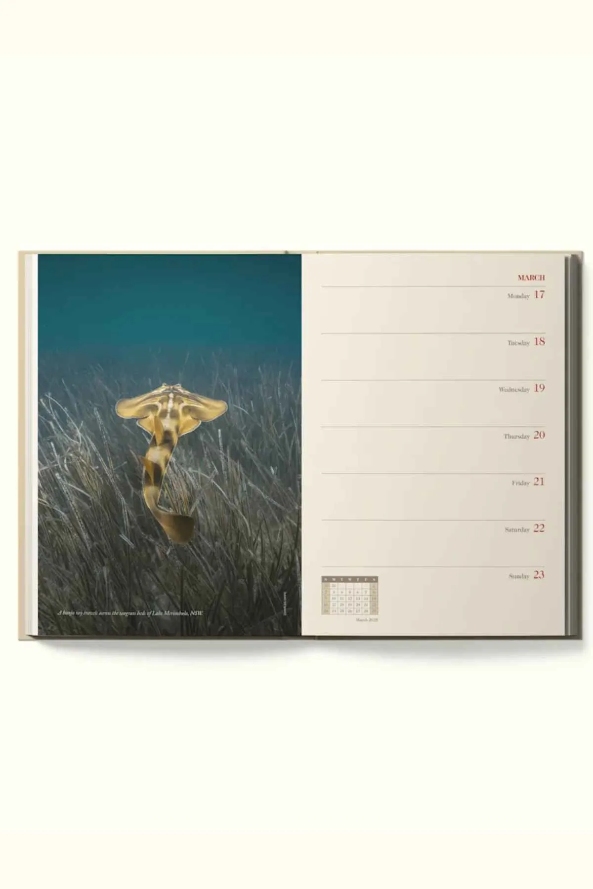 RM Williams Outback Diary 2025