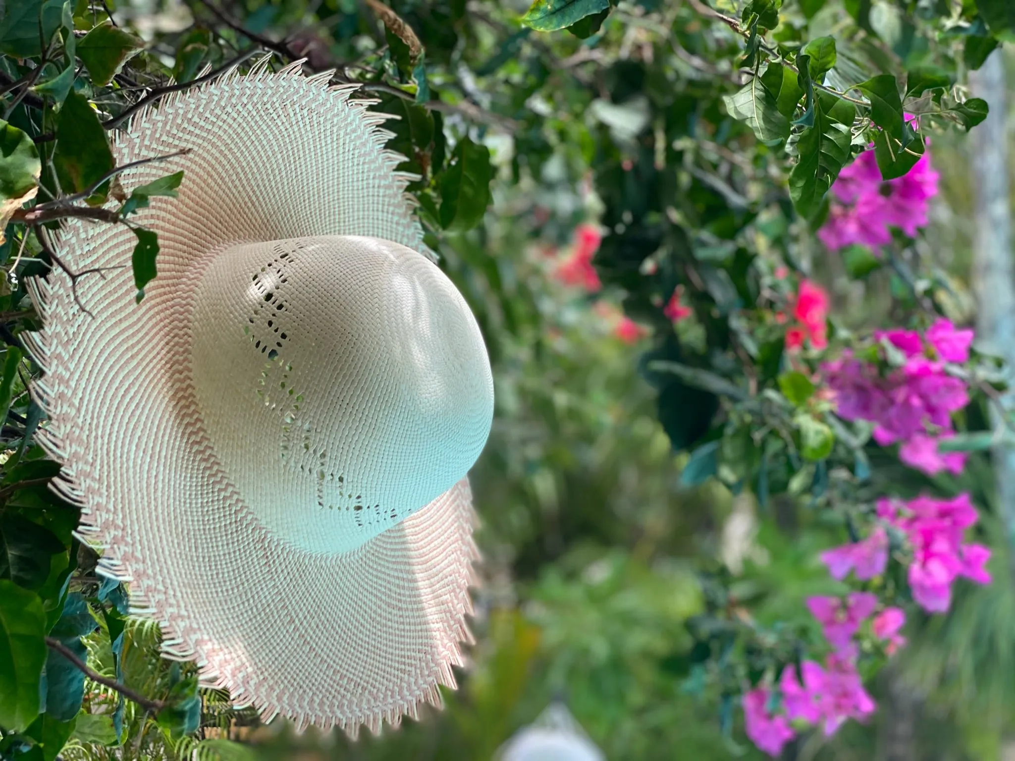Round Top Palm Hat