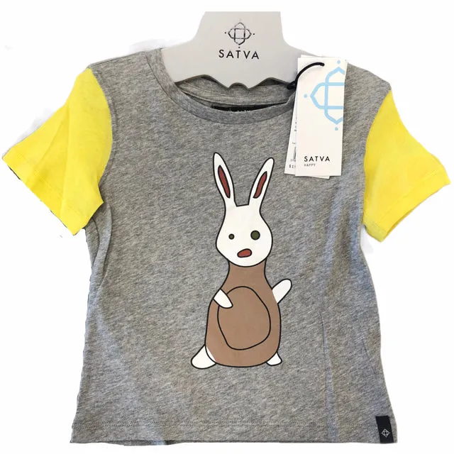 Satva Organic Cotton Short Sleeves Colorblock Tee - Heather Grey (2T)
