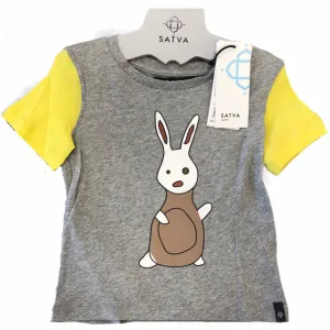 Satva Organic Cotton Short Sleeves Colorblock Tee - Heather Grey (2T)