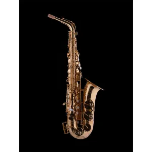 Schagerl Superior PRO 2L Eb Alto Saxophone – Lacquered finish