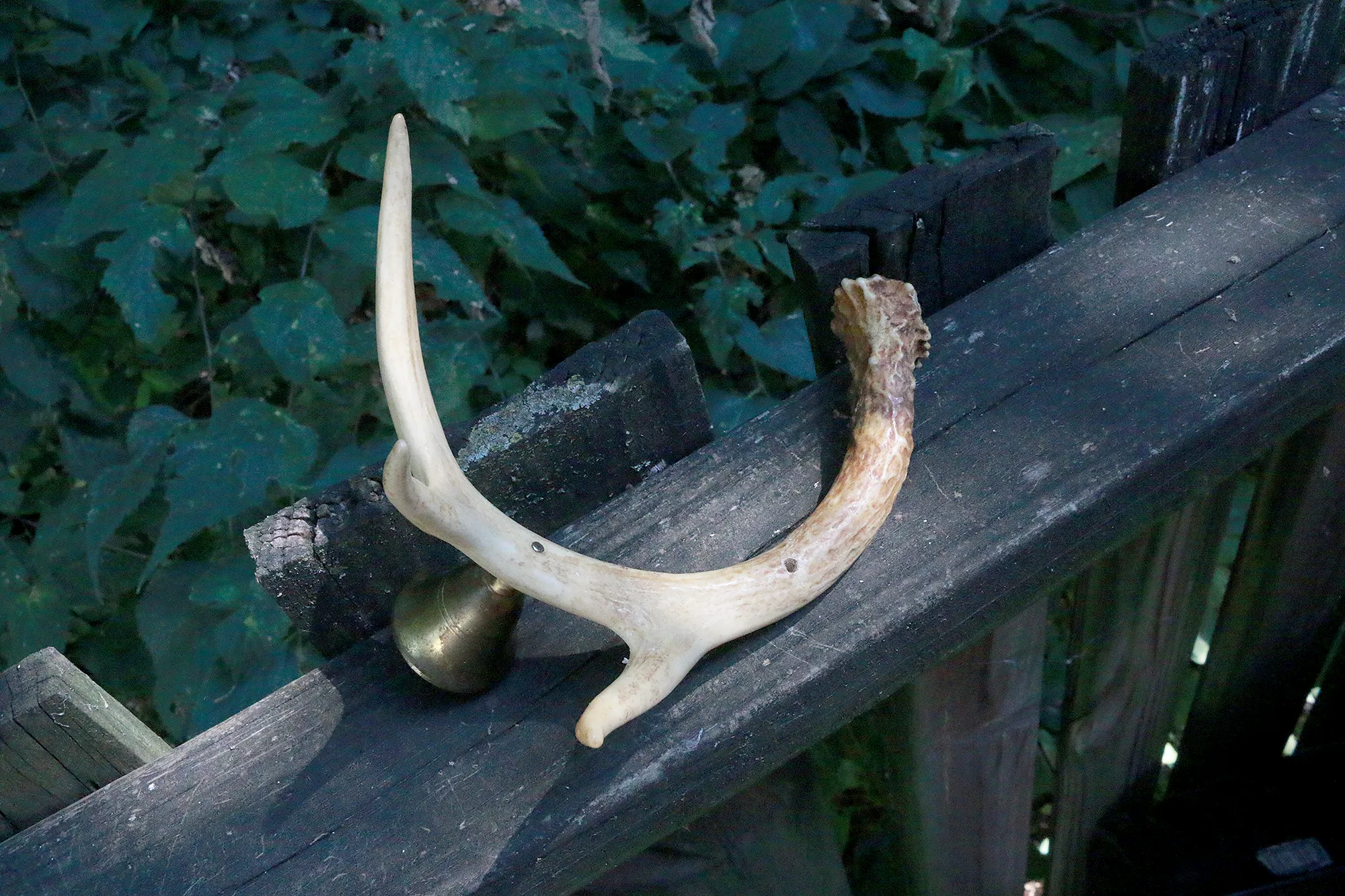 Secondhand Antler Handle Candle Snuffer