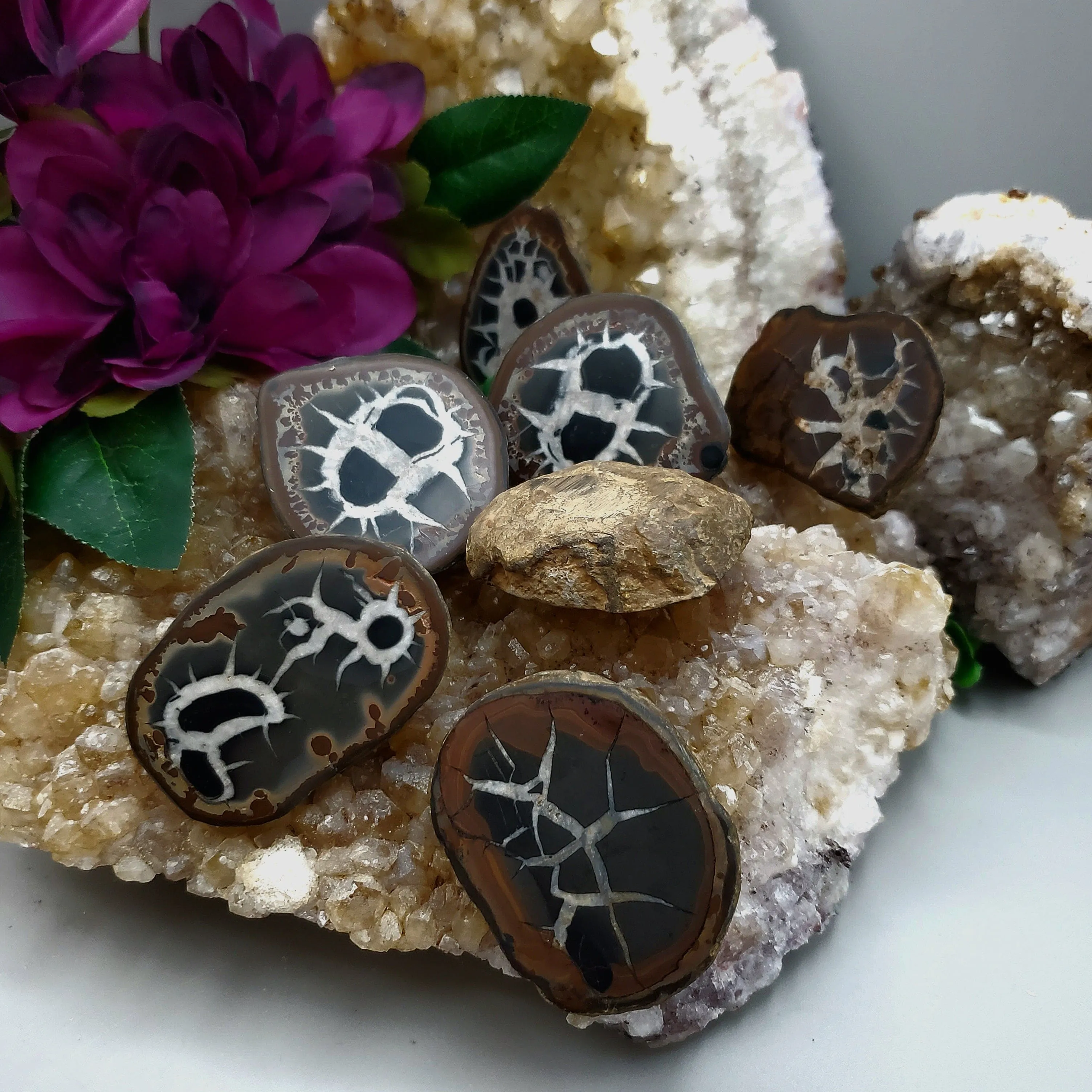 Septarian Nodule
