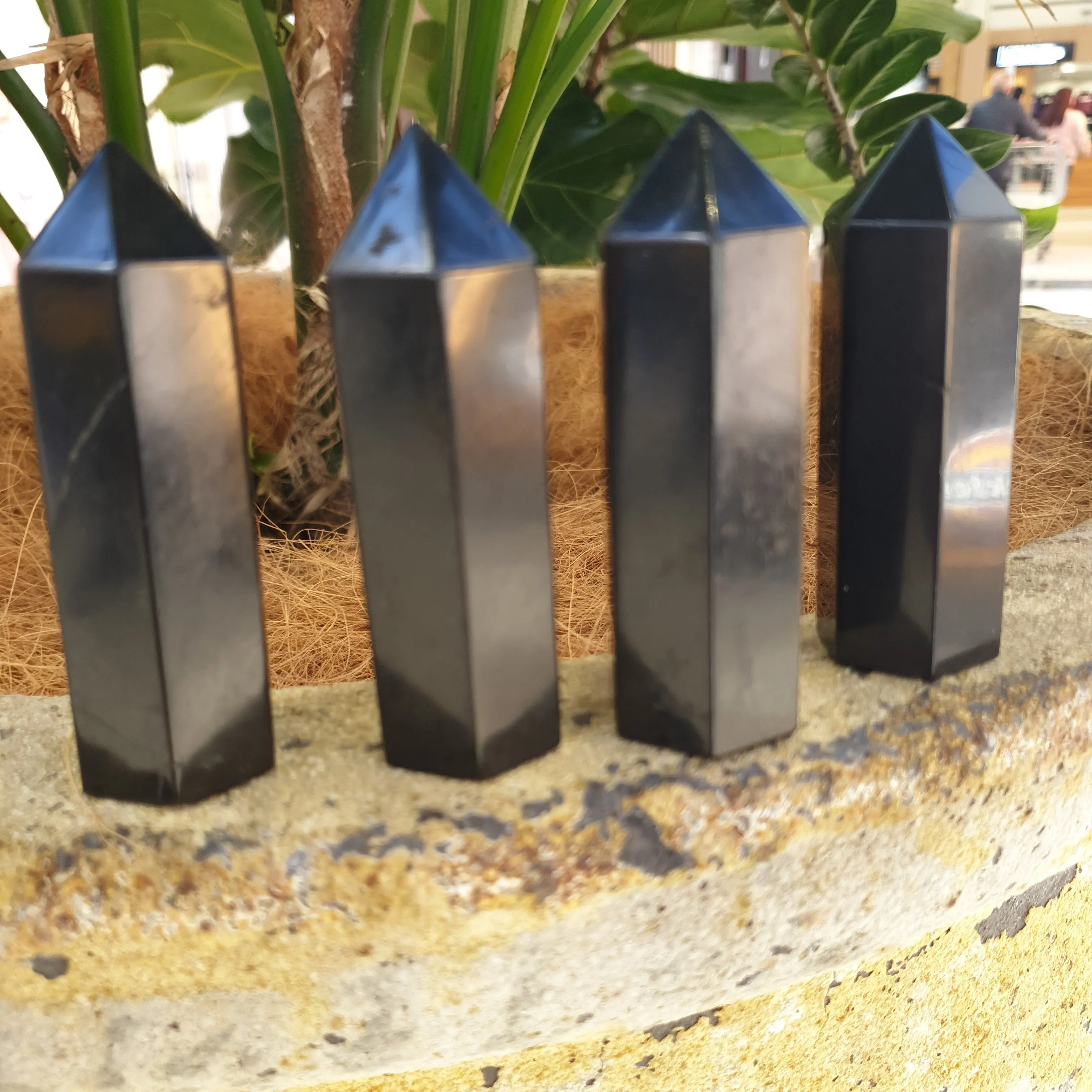 Shungite Polished Point