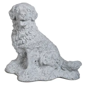 Small Retriever