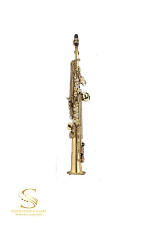 TBS Saxophone  TBS-101Q