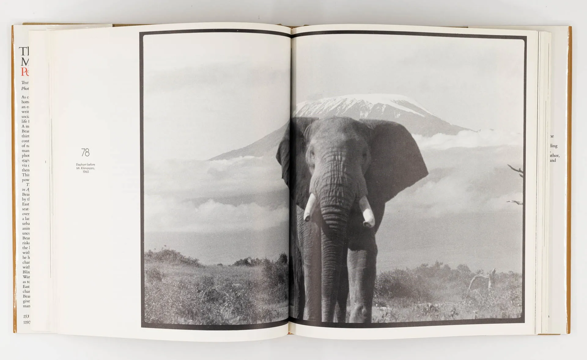 The Adventures and Misadventures of Peter Beard in Africa – Peter Beard, Jon Bowermaster [Signed, 1st Ed.]