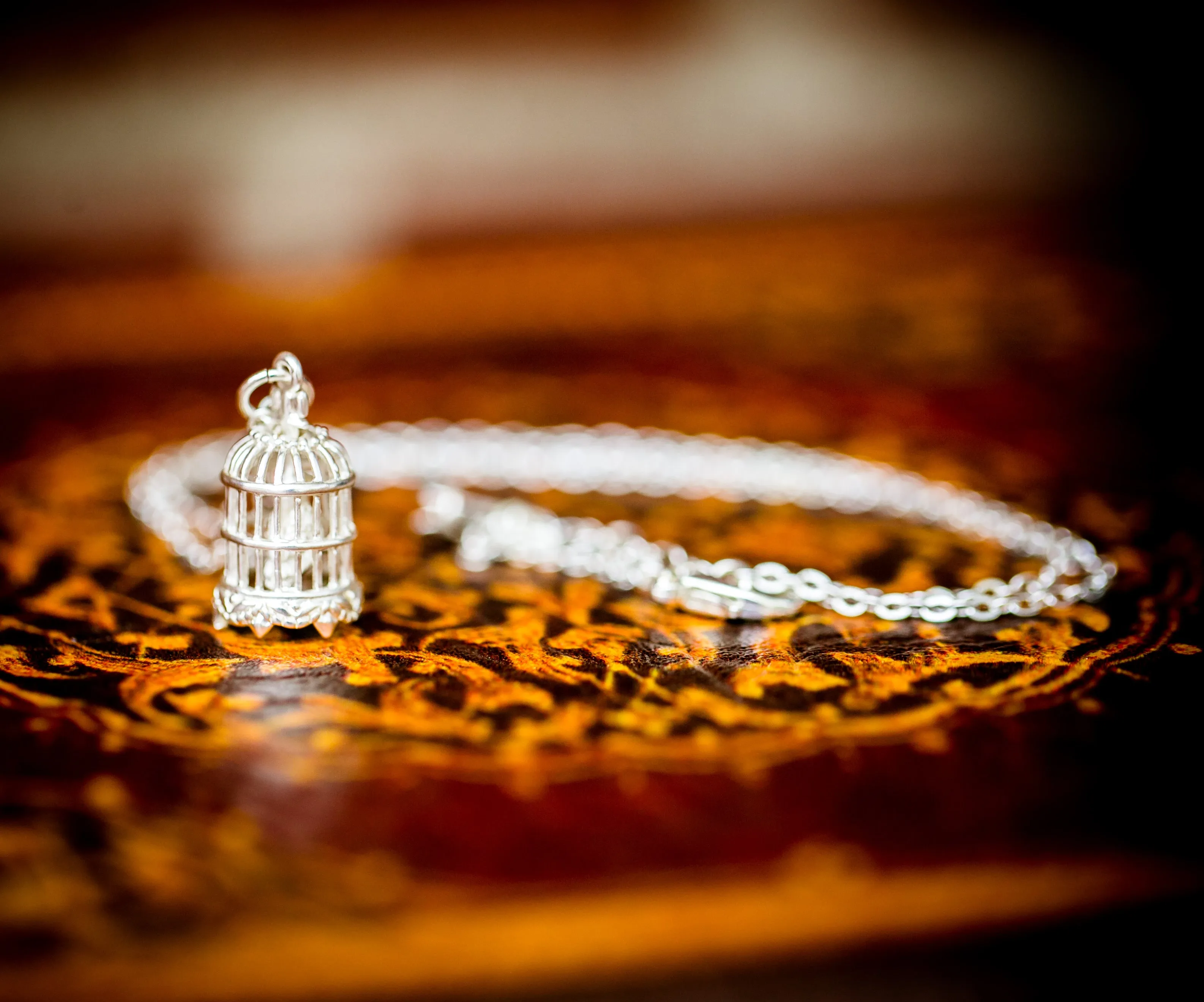 The Kitori Birdcage Necklace