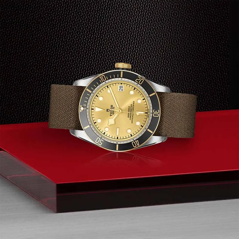 TUDOR Black Bay S&G 41mm Steel & Gold